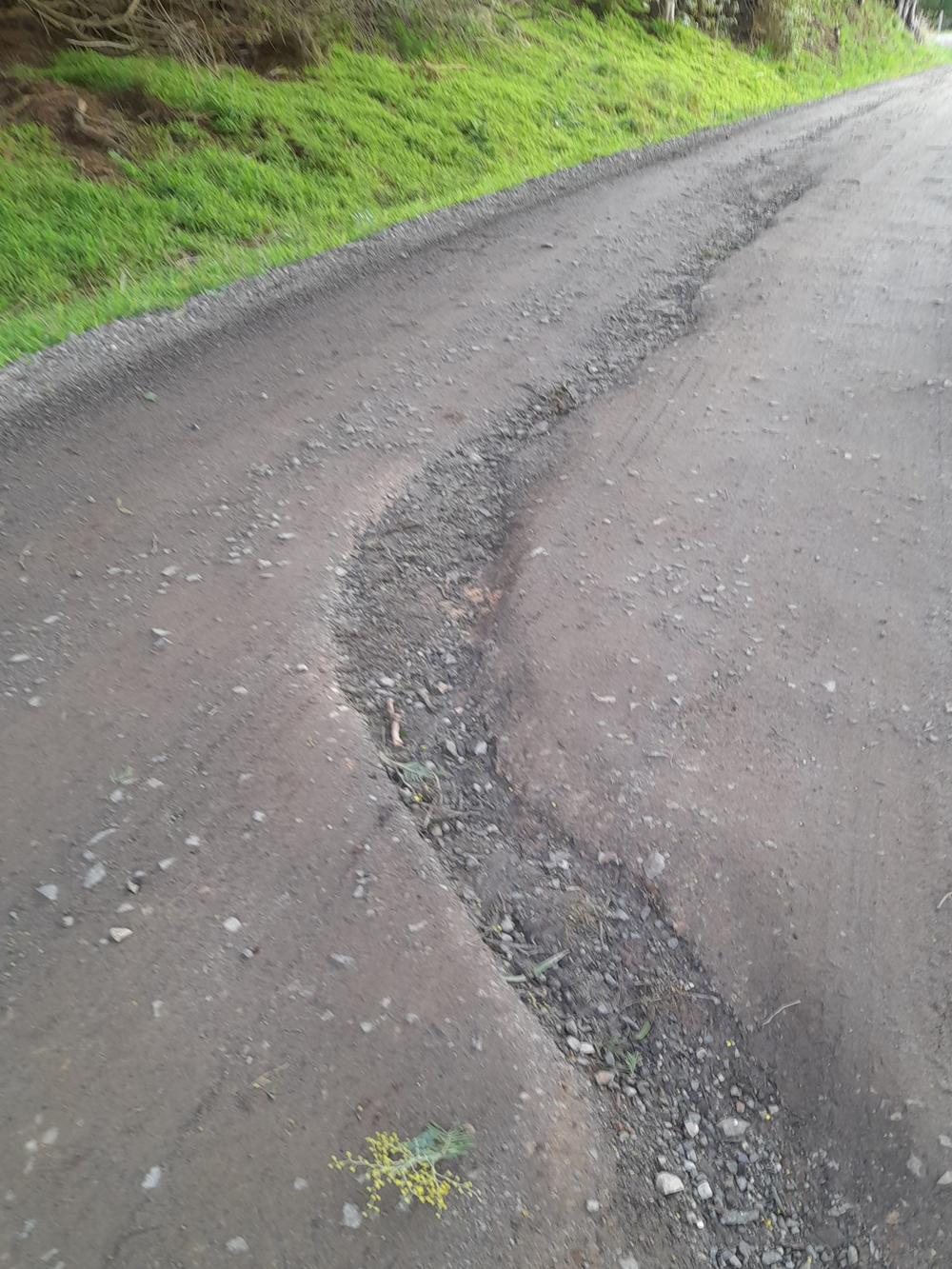 Complaints flow for local roads post image