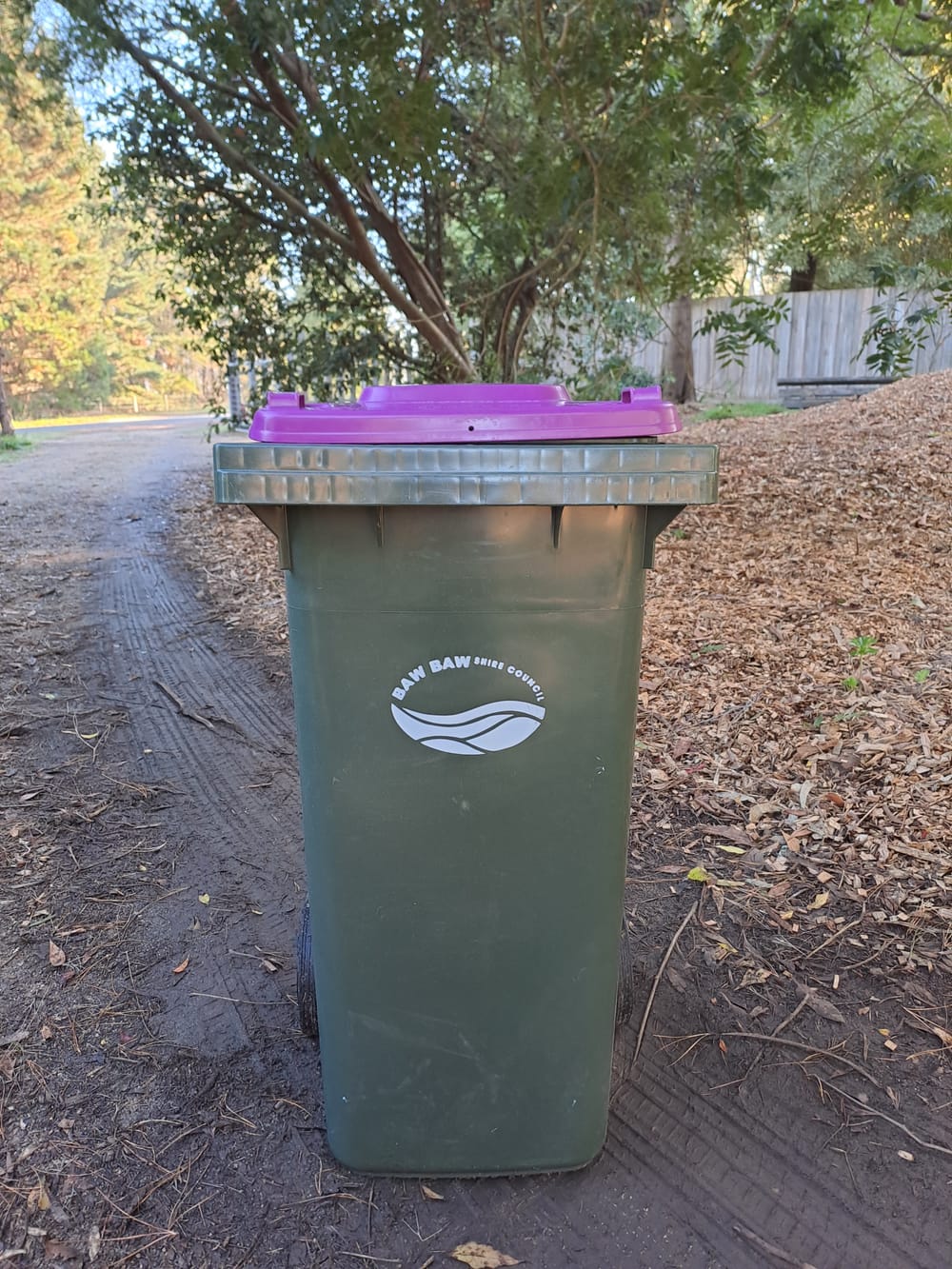 Purple bin on the way post image