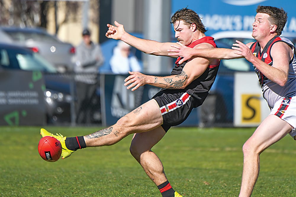 Gulls go bang post image