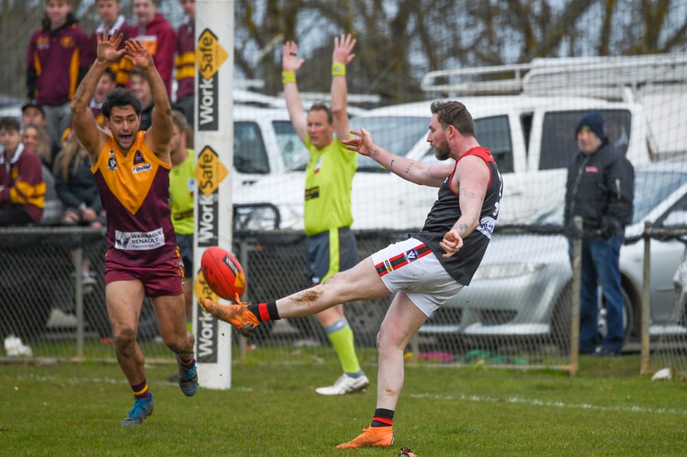 Lamb's perfect 10 gives Gulls derby win over Hawks post image