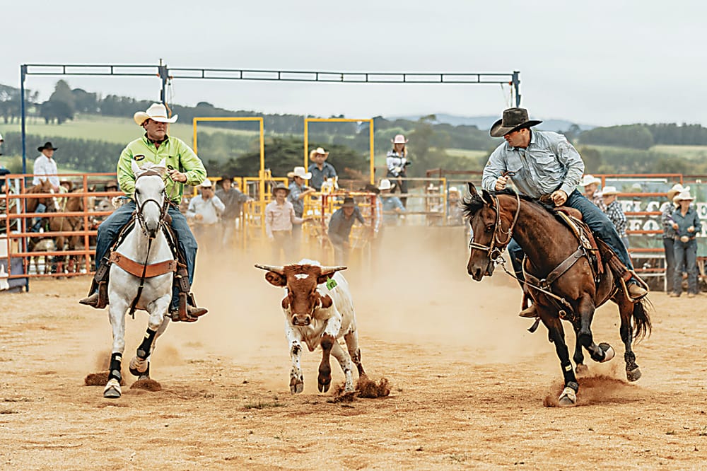 Spills and thrills of rodeo action returns post image