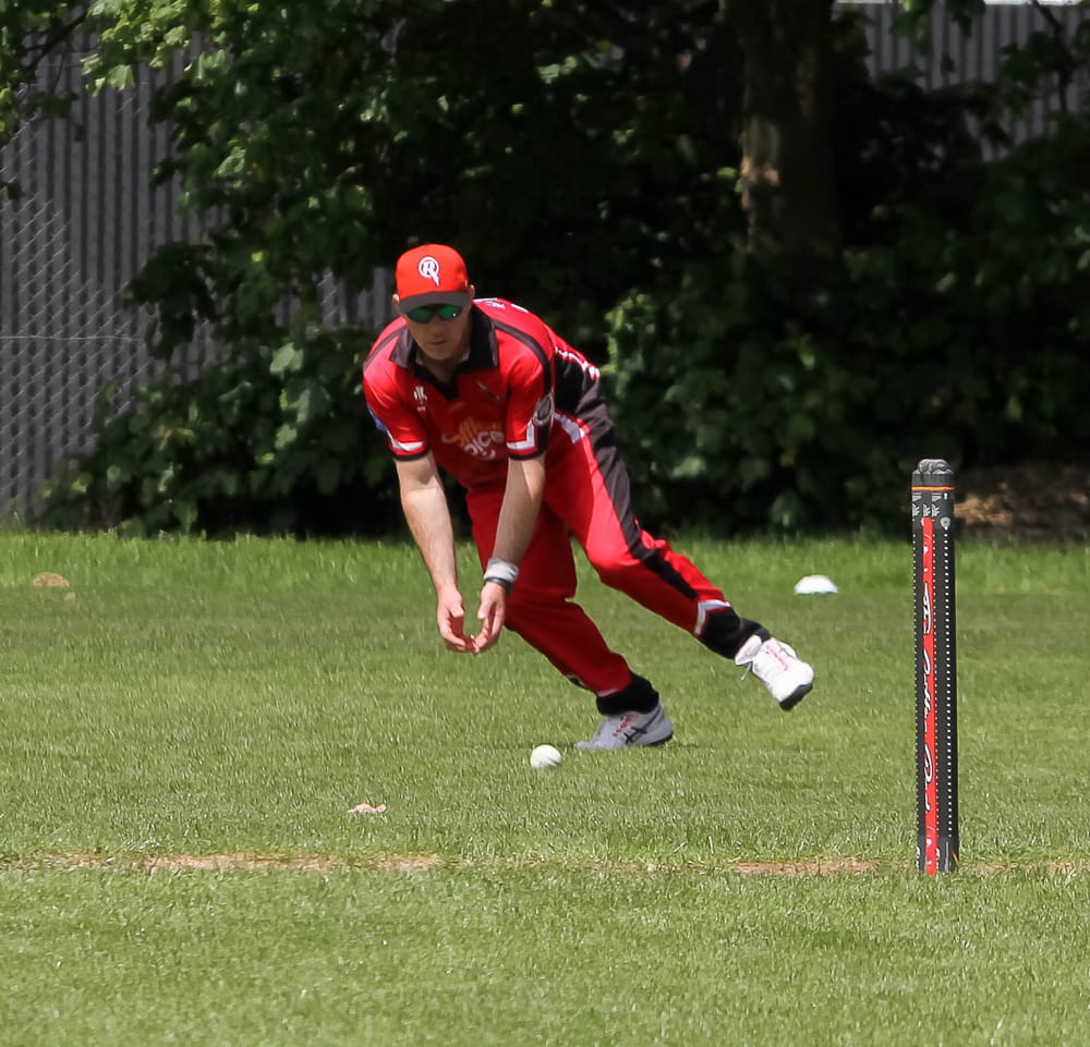 Gulls get over the line post image