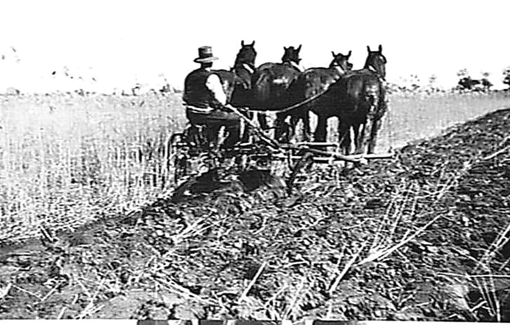 Snapshot of the past post image