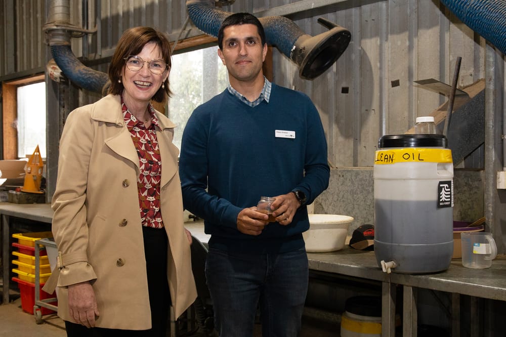 Red seaweed oil a game changer for methane emissions post image