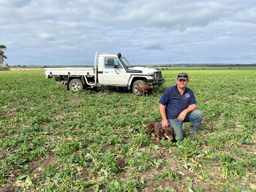 Young farmer focus for red meat conference post image