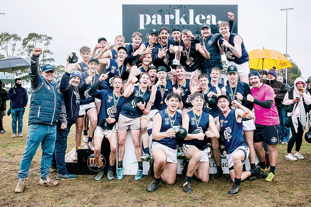 Blues battle to win post image