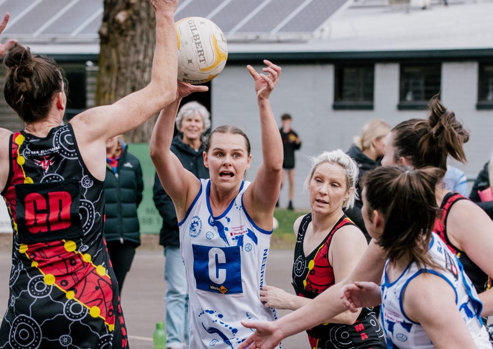 Cats to battle Bombers in grand final post image