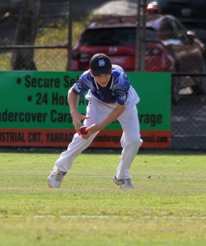 Cricket Juniors - Western Park White Vs. Warragul - 25.02.2023 post image