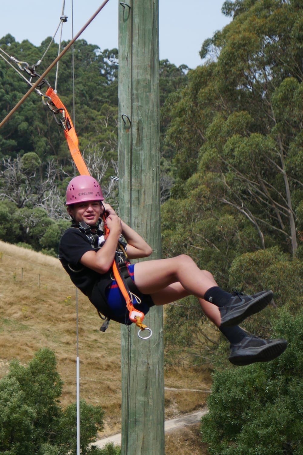 Fun at Camp Rumbug post image