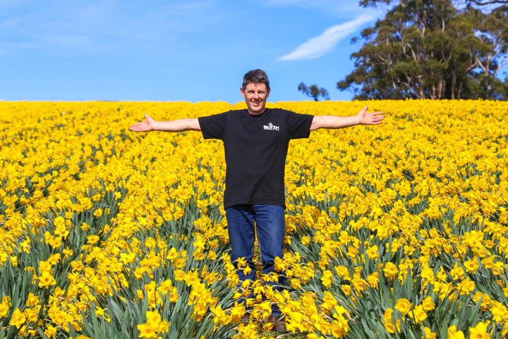 Field of hope post image