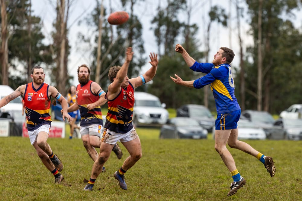 Football Reserves Ellinbank Vs. Longwarry - 16.07.2022 post image