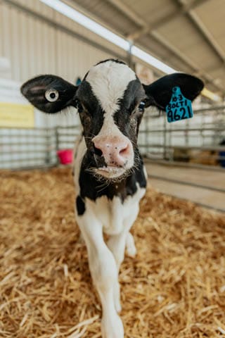 Farm World For Gazette - 28.03.2023 post image