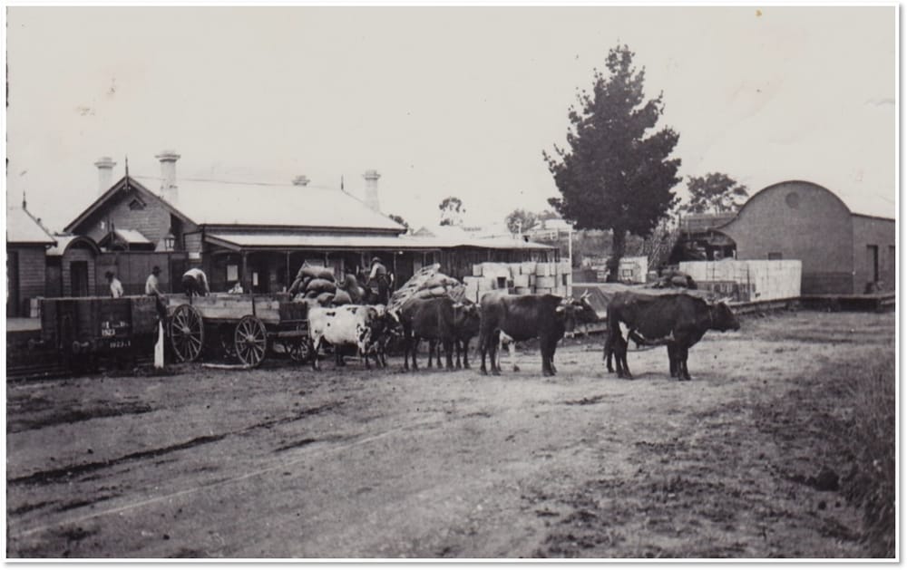 Snapshot of the Past: Drouin Railway Station post image