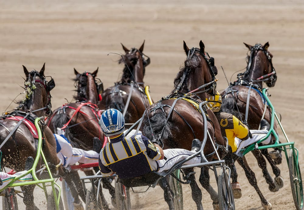 Forum to discuss harness racing issues post image