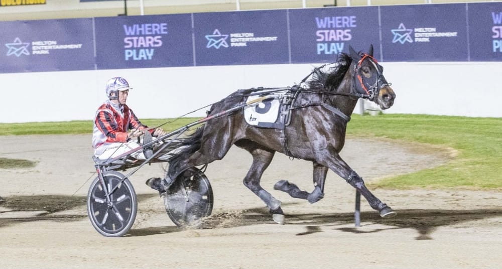 Trafalgar's trotting Gem shines in feature race post image