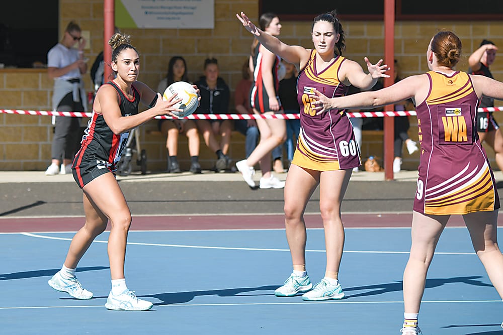 Gulls aim to evolve as season kicks off post image