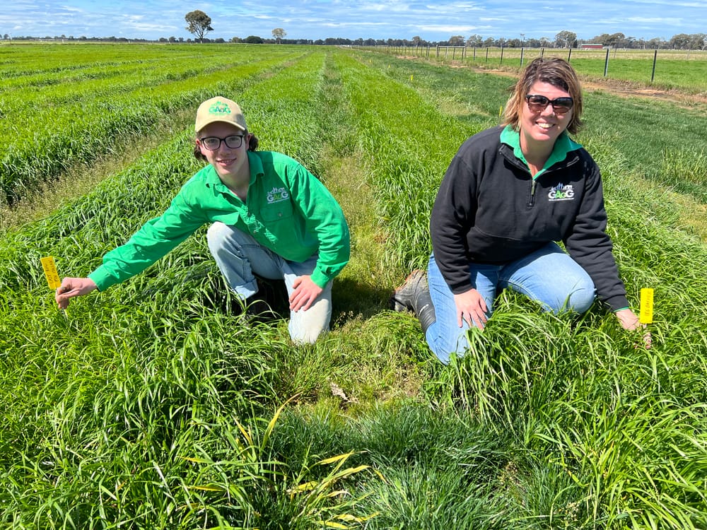 Rye demo at spring field day post image