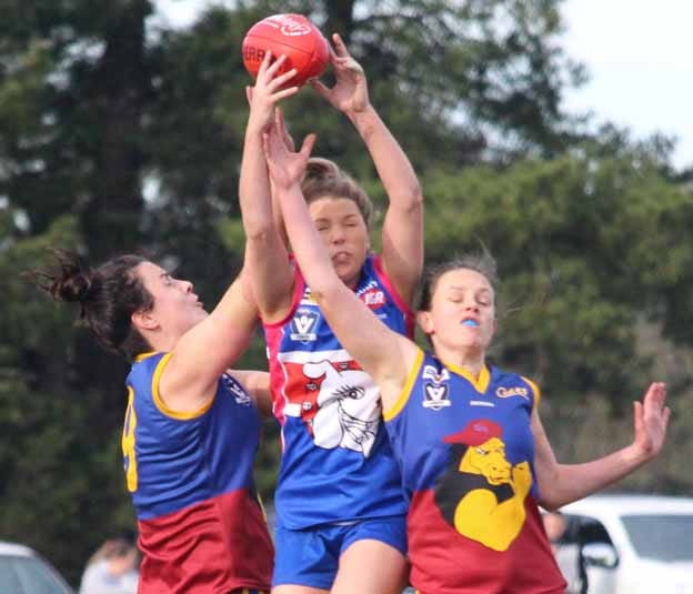 Colts dominate post image