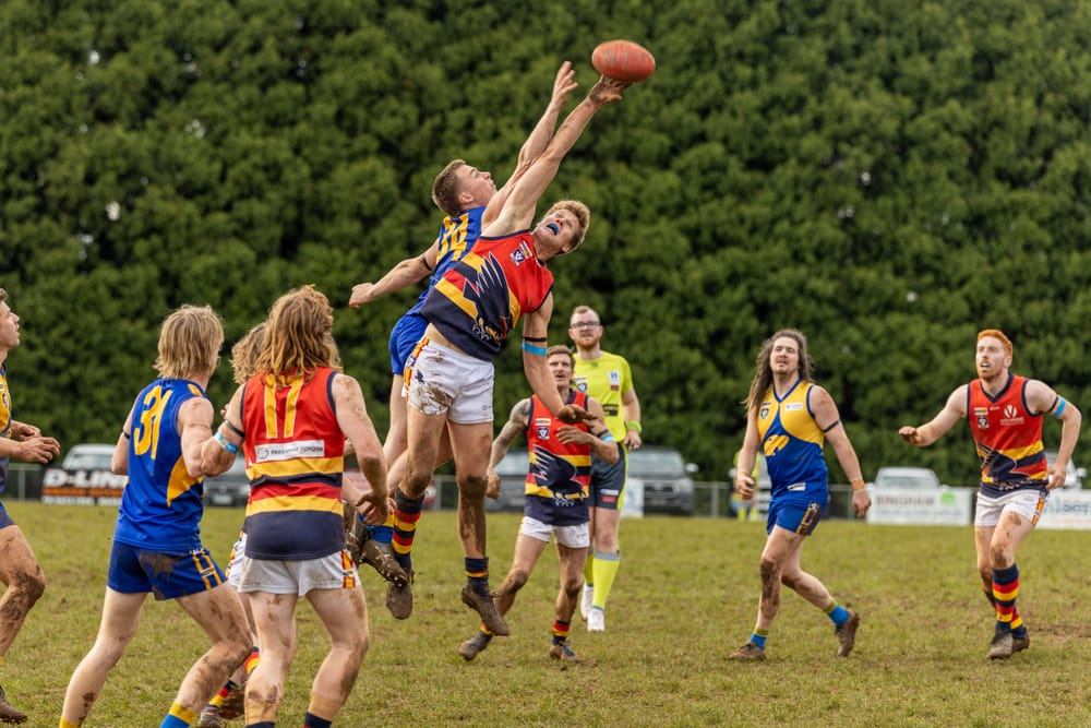 Eagles and Lyrebirds in match of the round in Ellinbank footy post image