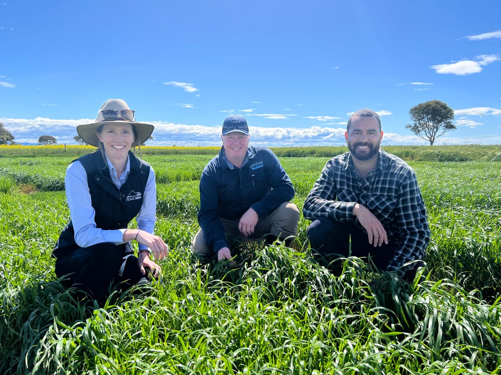 Spring showcase post image