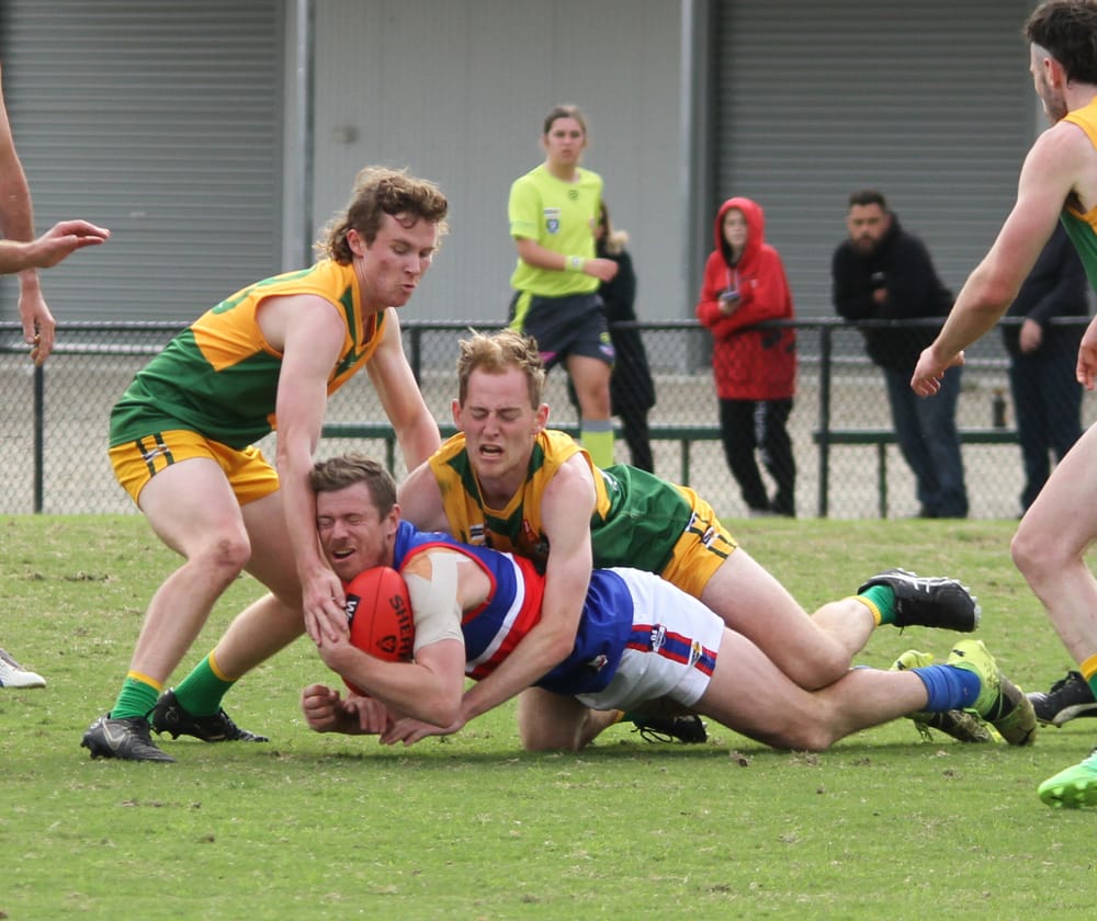 Stars beat Bulldogs for bragging rights post image