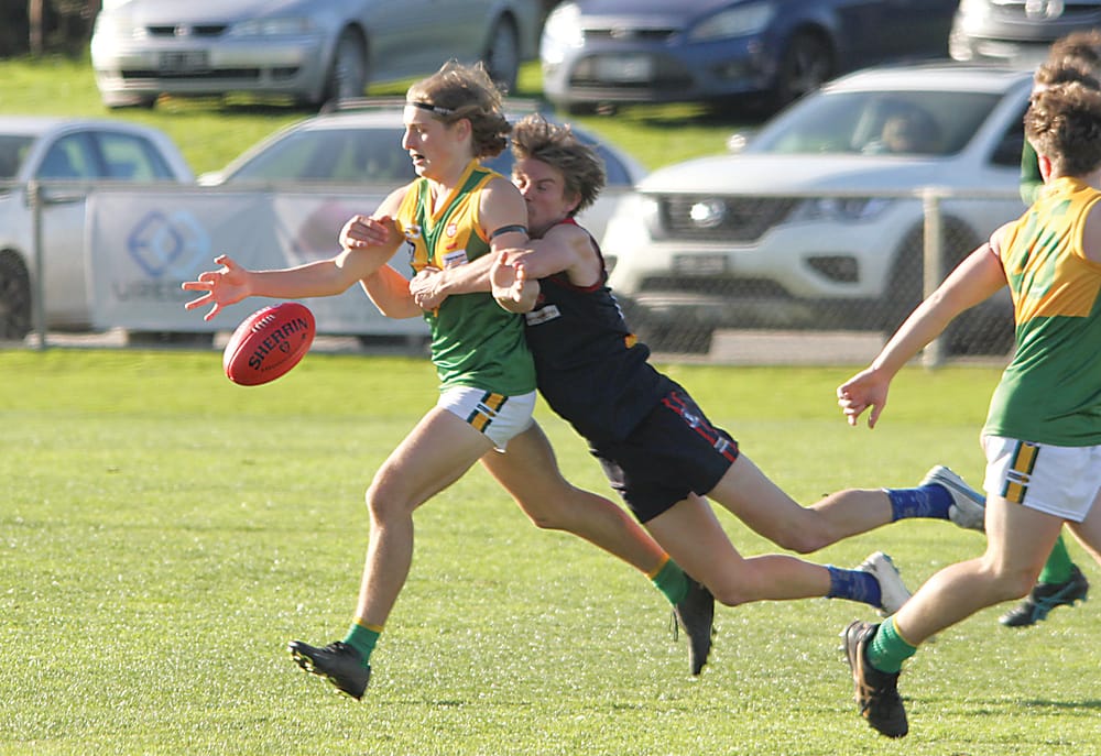 Stars downed by daring Demons post image