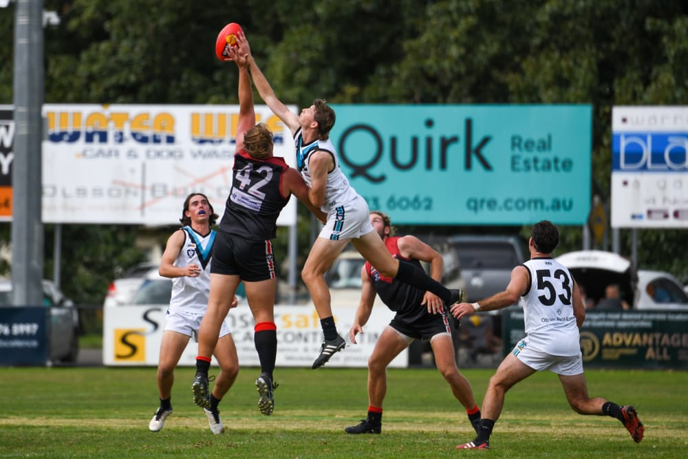 Warragul fights back for stunning draw post image