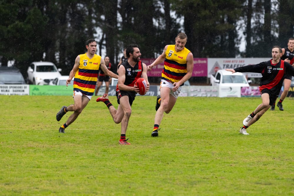 Crows comeback post image