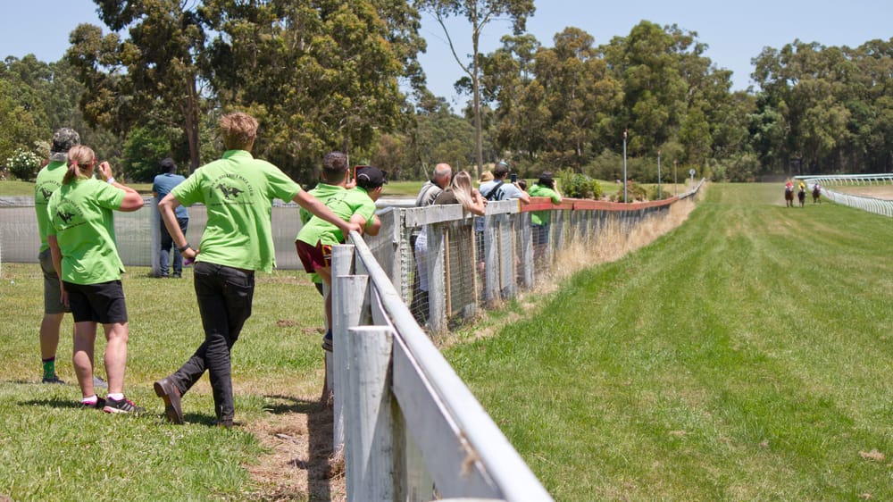 Horses run in front of no crowd on Boxing Day post image