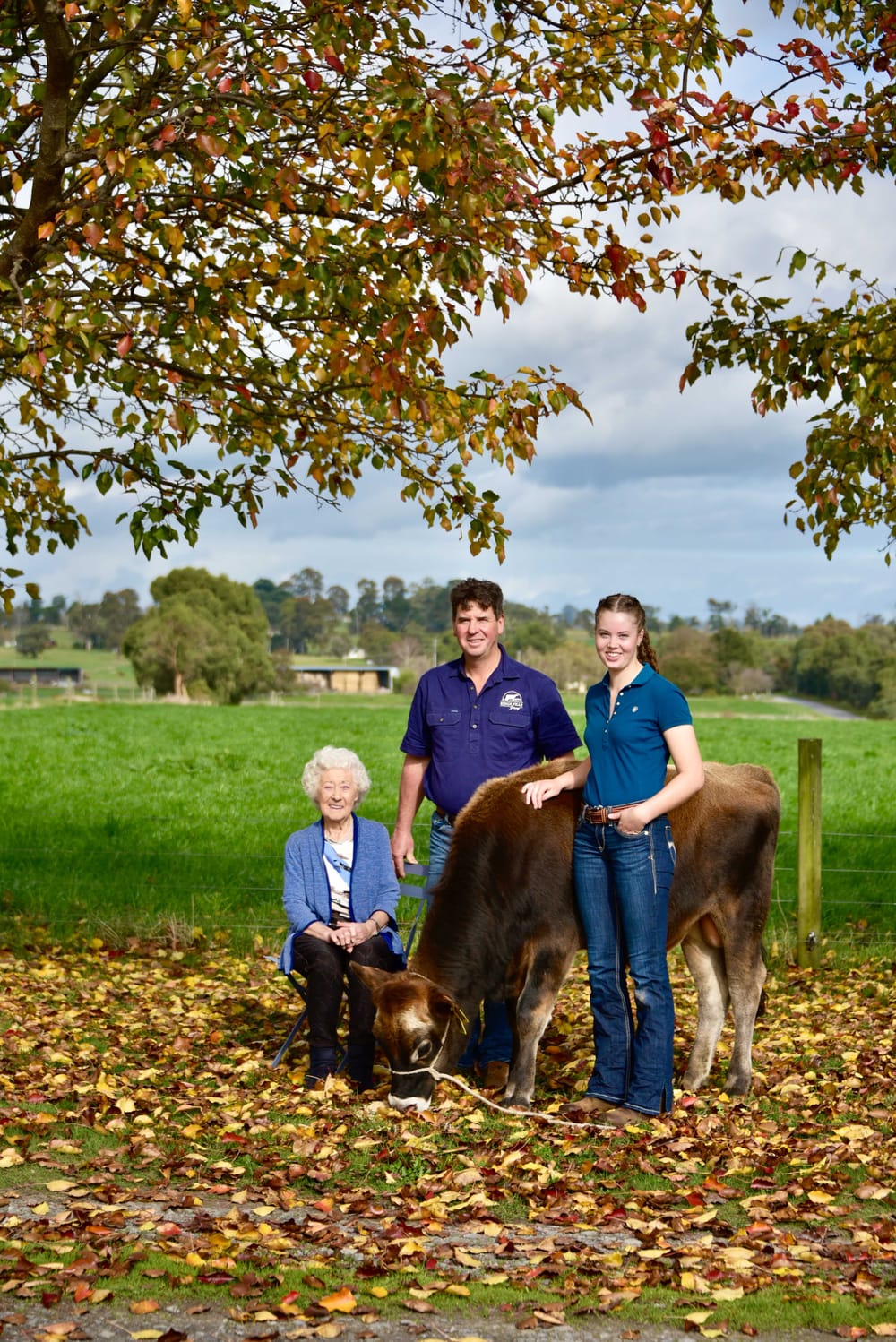 Holly builds her cattle empire post image