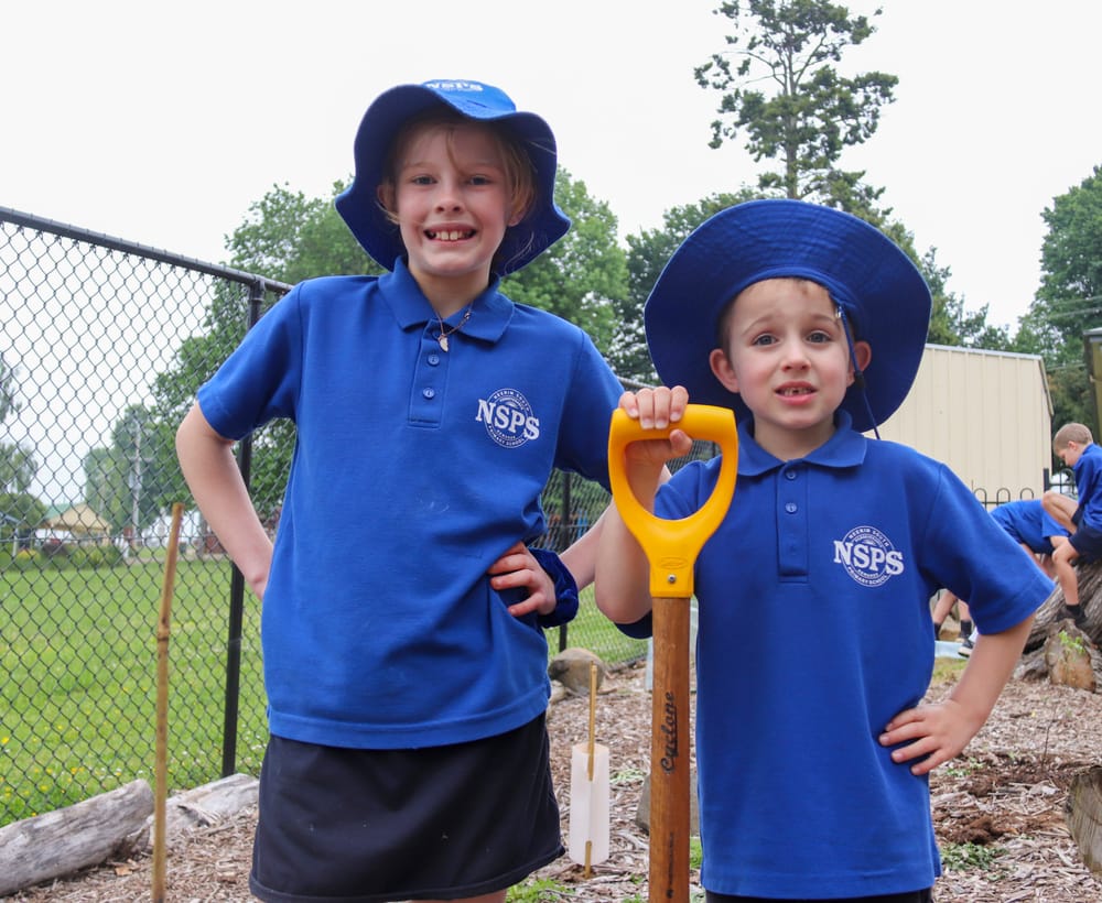 A day in the garden post image