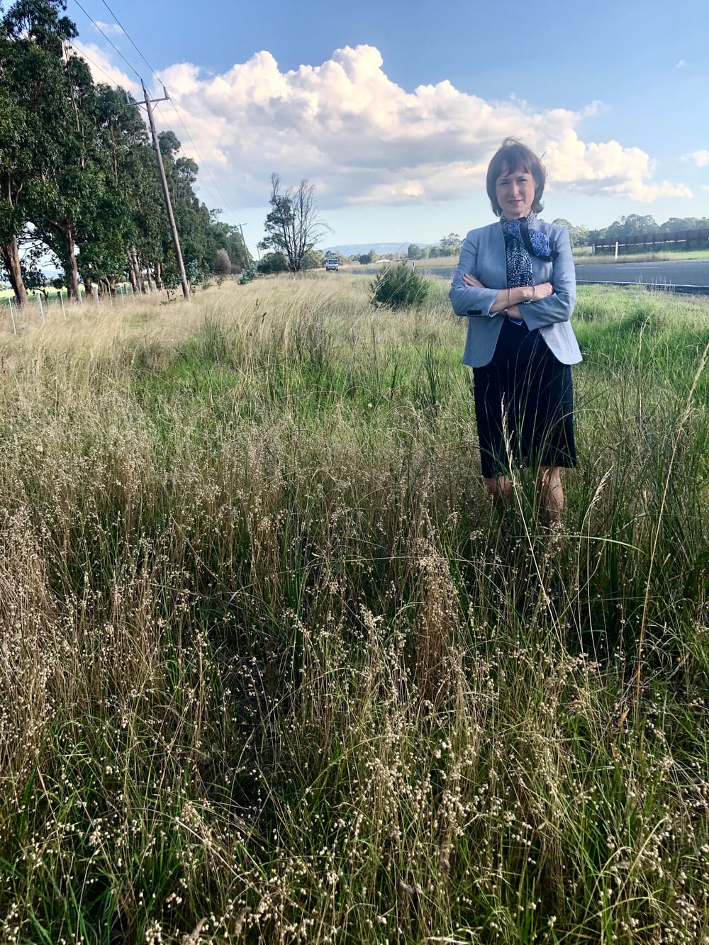 Rid roads of fire hazard post image