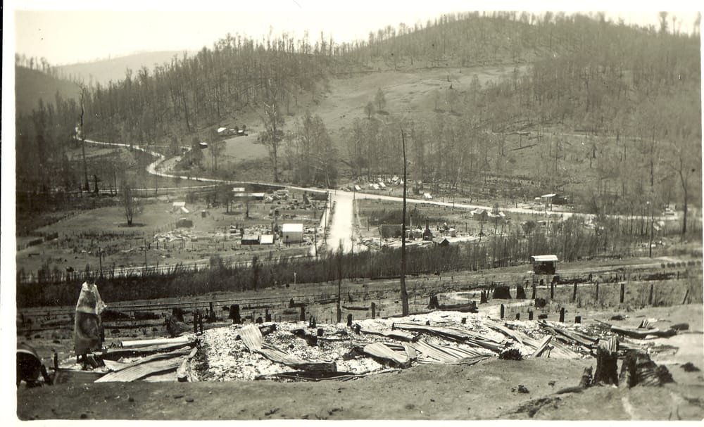 Snapshot of the past - Noojee Black Friday bushfires post image