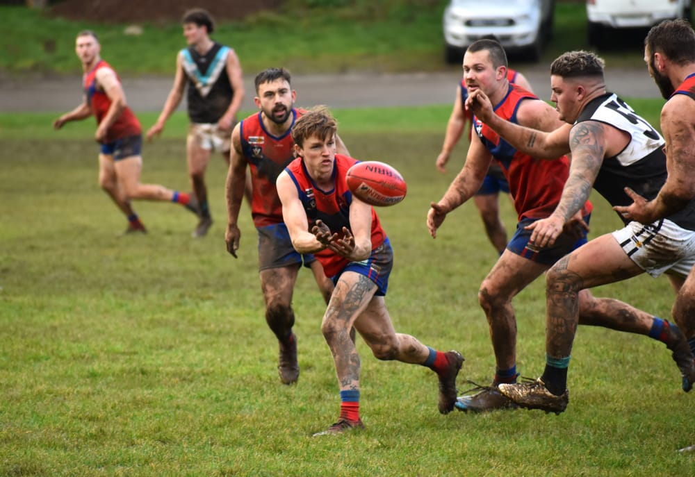 Eagles overcome gallant Bloods post image