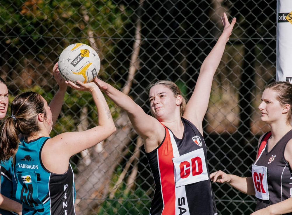 Cats remain undefeated post image