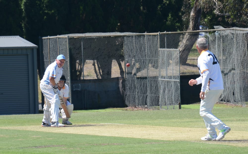 Goannas fall in first match back post image