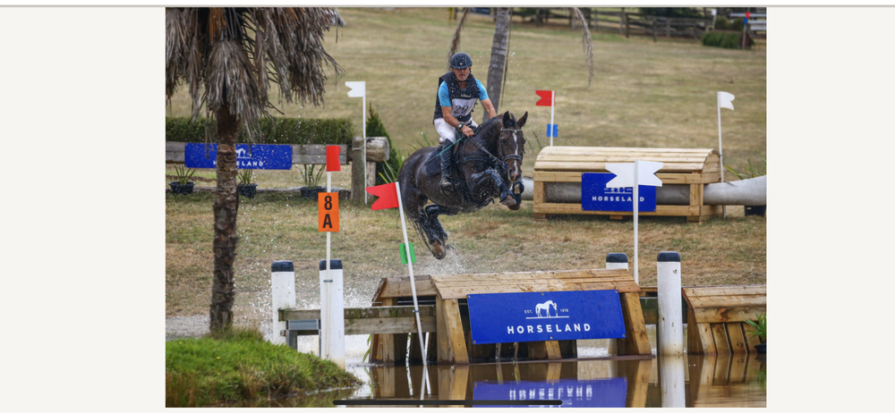 David eyes success in comeback story post image