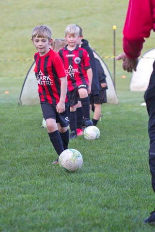 Warragul Mini-Roos - 25072020 post image