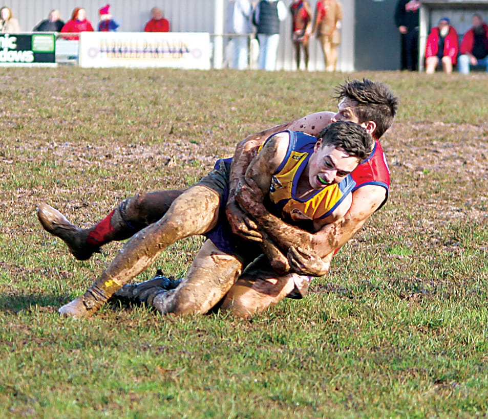 Eagles kick late goal to end Lyrebirds run post image