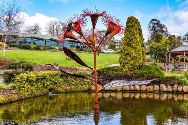 Ficifolia Sculpture Launch - 20.08.2022 post image