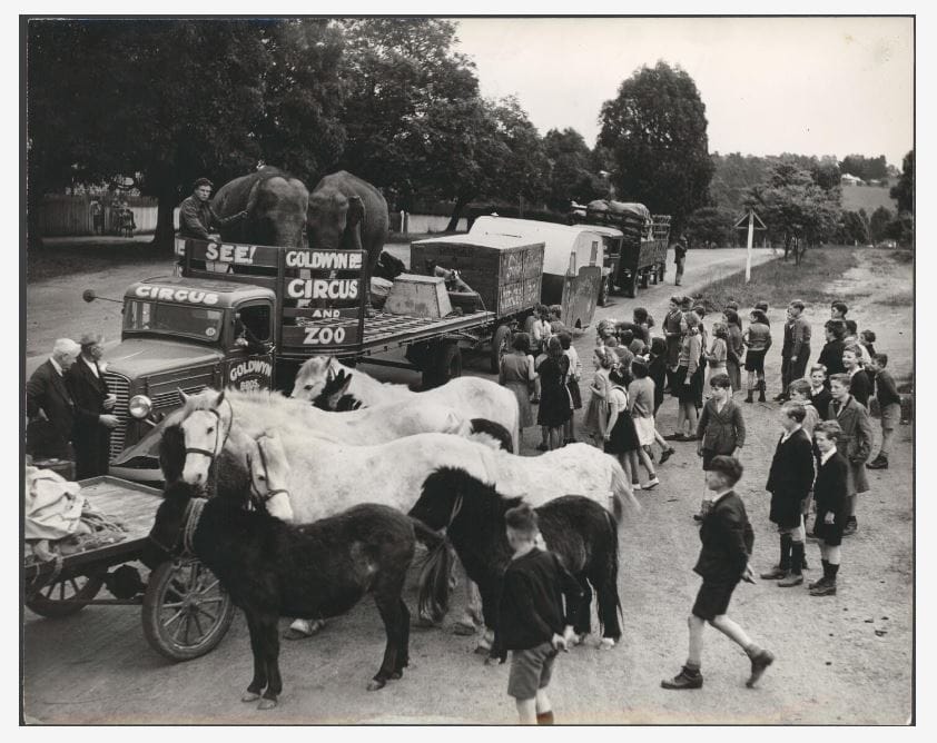 Snapshot of the past: circus comes to Drouin post image