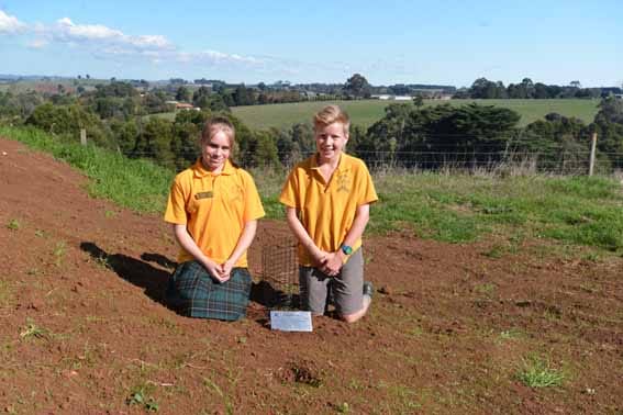 Oak a lasting tribute post image