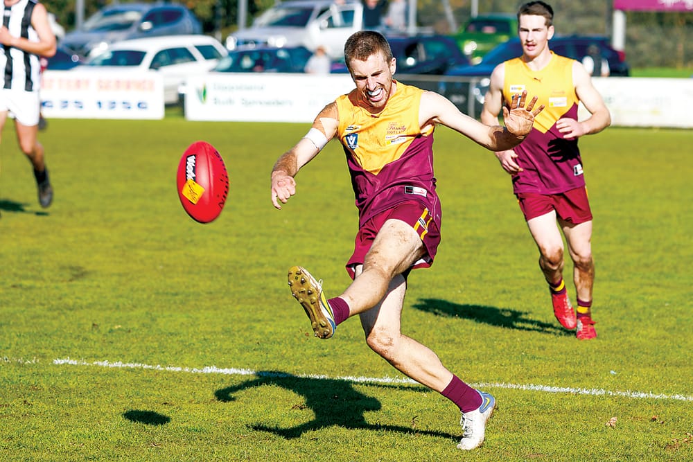 Hawks hurt themselves in Maffra mauling post image
