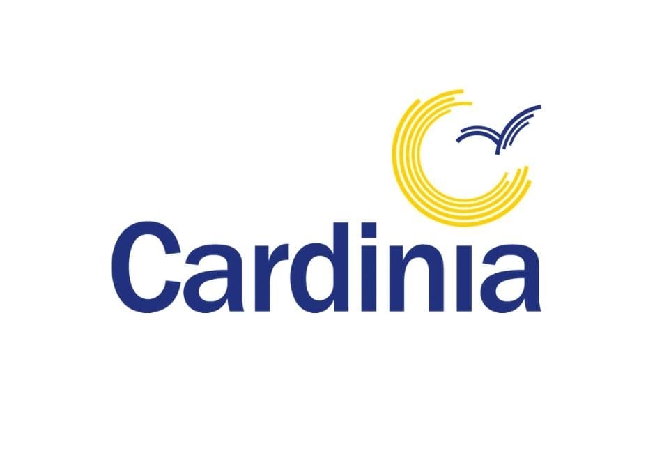 Art link to Lang Lang rodeo post image