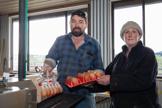 Gippsland Freerange Eggs post image