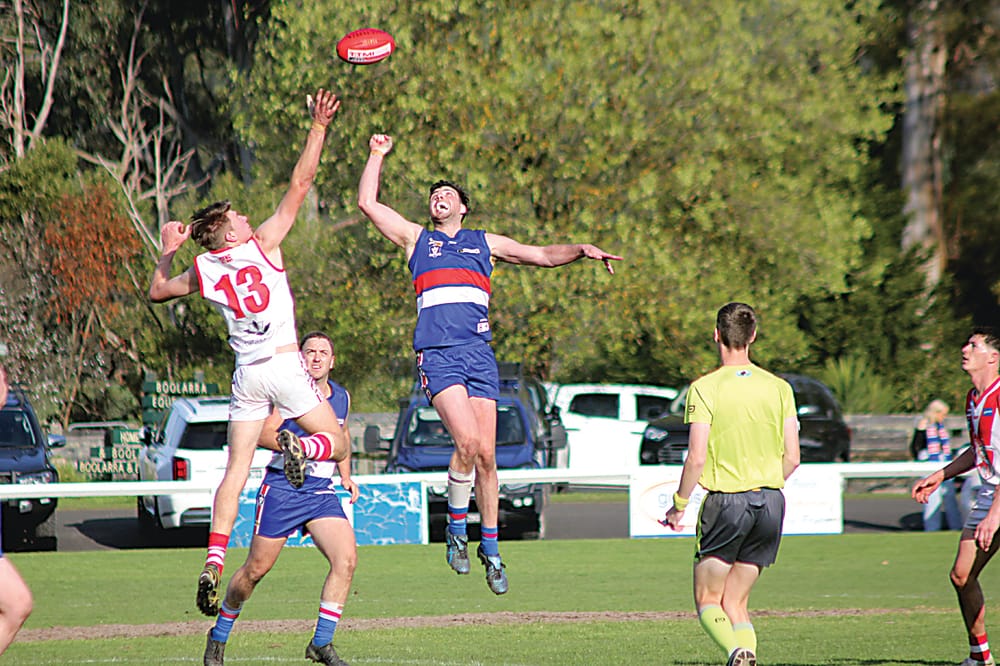 Bulldogs and Kangroos clash for premiership post image
