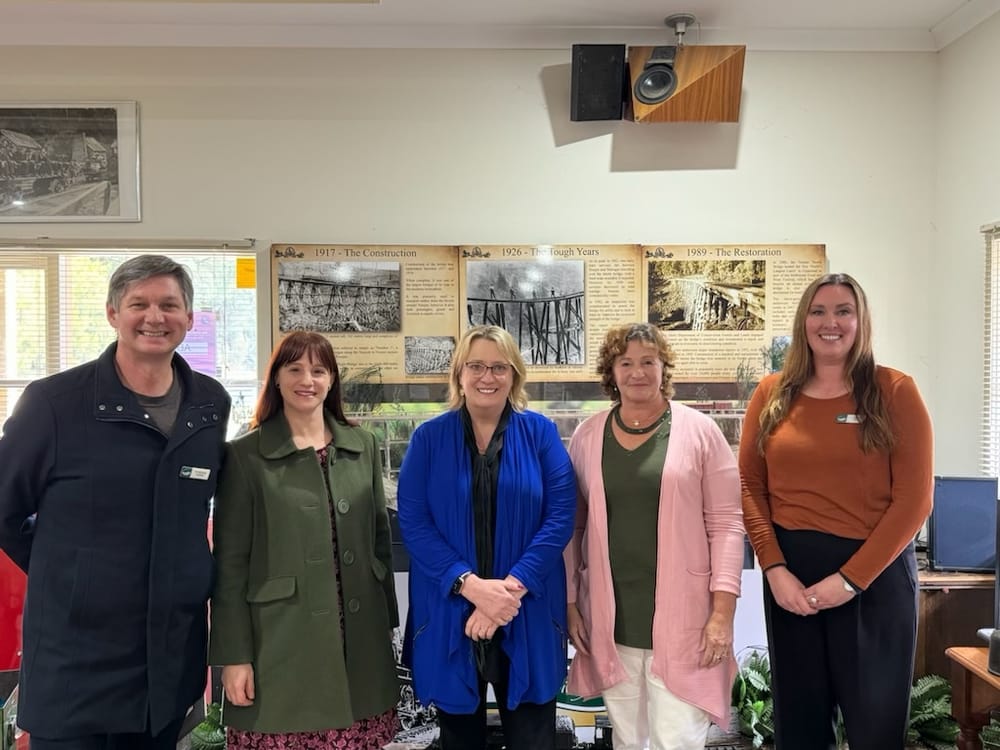 Funding to identify Noojee's strengths post image