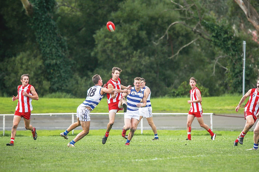 Close result expected as Bloods face Eagles post image