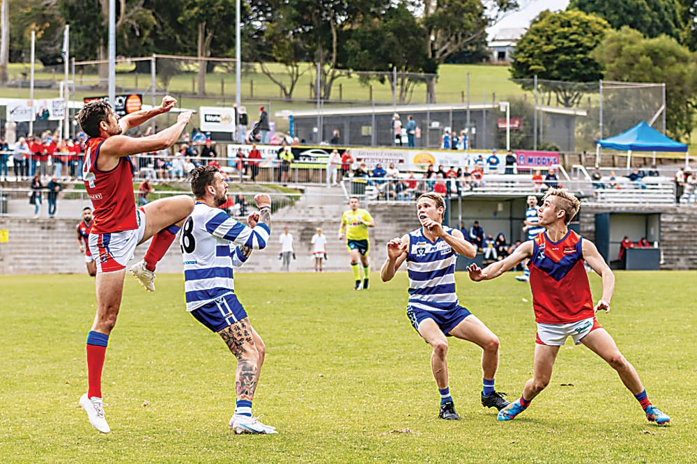 Undefeated Lyrebirds and Bloods clash in EDFNL post image