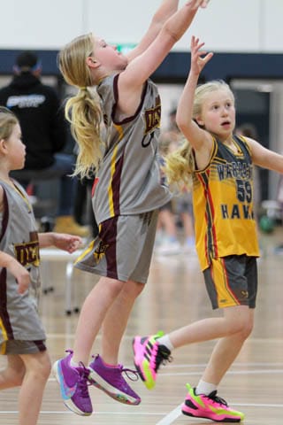 Basketball (U10's) Girls - Devil Lakers Vs. Warranor Sparrows - 24.10.2024 post image